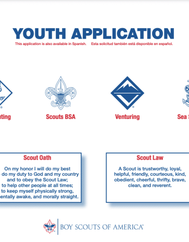 BSA Youth Application