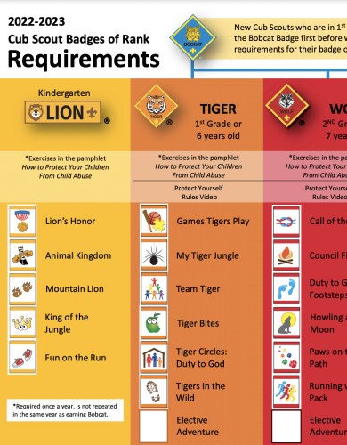 Cub Scout Rank Requirements